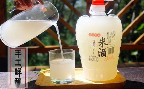 過節(jié)喝米酒 養(yǎng)胃健脾防胃癌的健康飲品